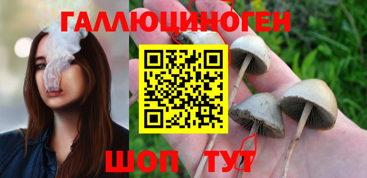 Псилоцибиновые грибы мицелий Зеленогорск