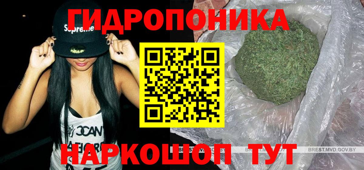 Бошки марихуана сатива  Конопля сатива  Зеленогорск  Шишки марихуана OG Kush  Вход с VPN 
